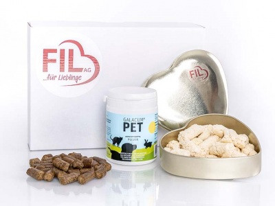 Geschenkpaket 1 für Ihren Liebling Inhalt