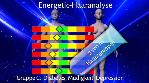 Gruppe C - ein Teil der Energetic-Haaranalyse