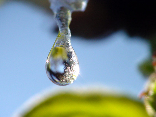 Fuer_Wasser_Bild2_20130214