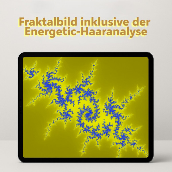 Fraktalbild inklusive der Energetic-Haaranalyse